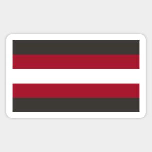 Tampa Bay Color Stripes Magnet